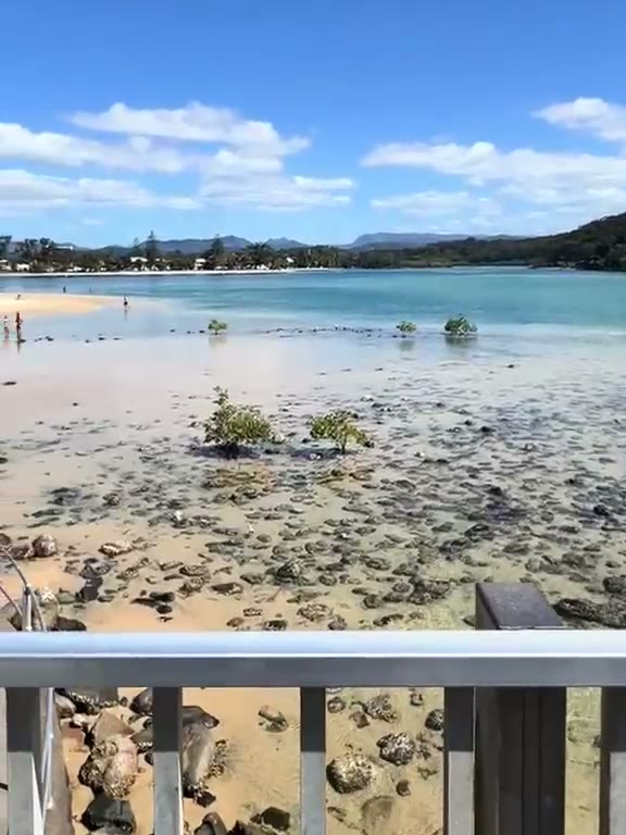 Clear shallows of Tallebudgera Creek